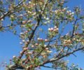 IMG 20160525 WA0006 1