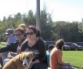 IMG_1743 - Copy (2)